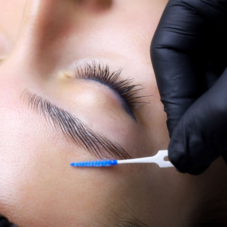 brows10